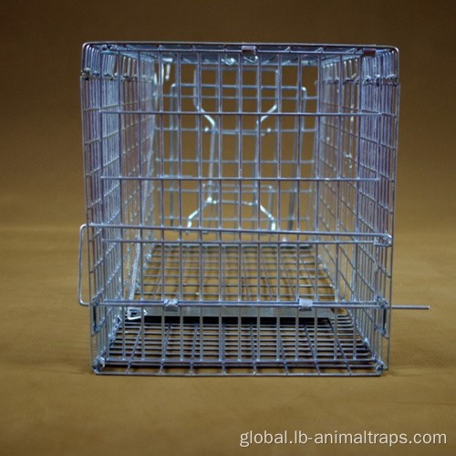 Live Animal Cage Trap Squirrel Cage Trap With Foot Paddle Factory